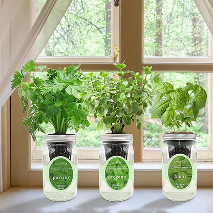 Hydroponic Herb Growing Kit Set, Self-Watering Mason Jar Herb Garden Starter Kit Indoor, Window Herbs Garden, Grow Your Own Plants from Organic Seeds (Basil, Parsley and Oregano)