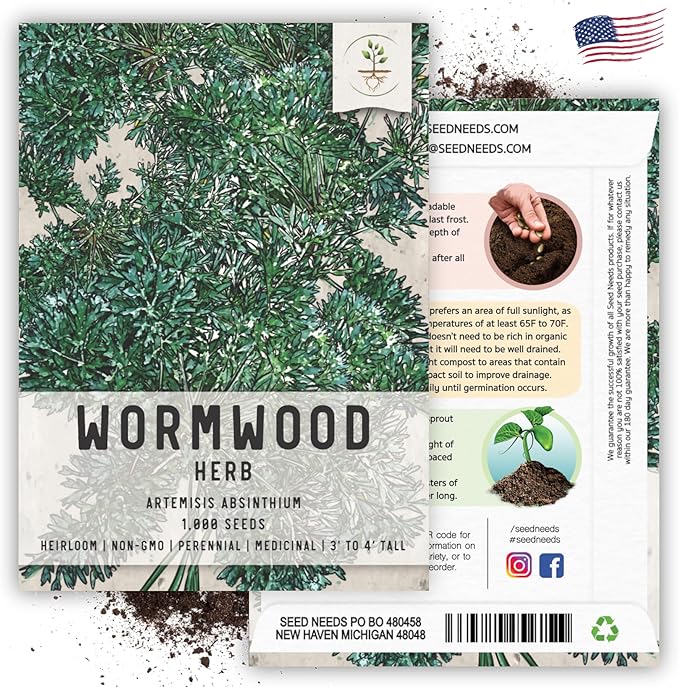Seed Needs Wormwood Seeds for Planting - Non-GMO, Heirloom & Untreated Perennial Herb - Medicinal Herbs for Digestion & Gut Health (2 Packs)