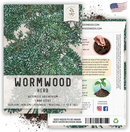 Seed Needs Wormwood Seeds for Planting - Non-GMO, Heirloom & Untreated Perennial Herb - Medicinal Herbs for Digestion & Gut Health (2 Packs)