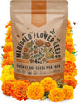 Marigold Seeds Pack 4 oz - Over 37,000 Non-GMO Heirloom Marigold Seeds for Planting Indoor & Outdoor Gardening, Flower Seed for Planting Home and Garden, Flowers Seed in Individual Packet