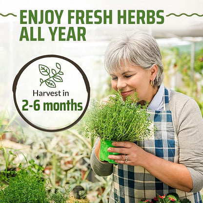17 Herb Culinary Seed Vault – 5200+ Heirloom Seeds for Indoor/Outdoor or Hydroponic Gardens – High Germination | Cilantro, Mint, Chives, Basil, Parsley & More