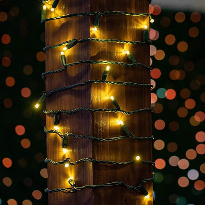 Novelty Lights 25ft 50 LED Warm White Christmas Lights Outdoor/Indoor, 6" Spacing, Green Wire String Lights for Festive Xmas Lighting, IP55, UL Listed, Dimmable, Connectable