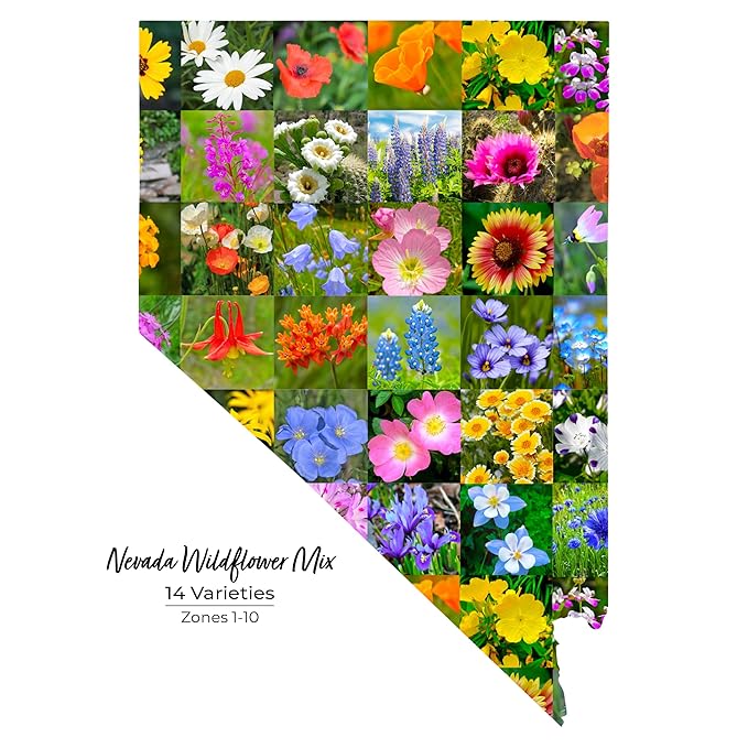 Created By Nature Nevada Wildflower Seed Mix, 14 Flower Varieties, 30,000 Seeds