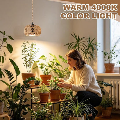 Hanging Grow Light for Indoor Plants, 30W 4000K Full Spectrum LED Pendant with Timer, Hand-Woven Shade, 15FT Cord, Kit for Office Desk, Bookshelf, Cube Decor, Low Light Spaces