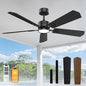 DAMINY 52 inch Ceiling Fan with Light,6CCT,5 Blade,Low Profile Ceiling Fan with Light and Remote Control,Downrods,Black,Living Room,Indoor/Outdoor Use