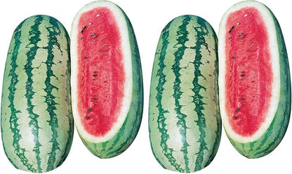 Burpee Georgia Rattlesnake Watermelon Seeds 100 Seeds (Pack of 2)