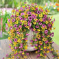 Artificial Faux Hanging Flowers Plants for Outdoor Decor 2 PCS Outside Fake Mums Violets with Eucalyptus UV Resistant Realistic Daisy Trailing Vines for Yard Balcony Porch Decor (Yellow Purple)