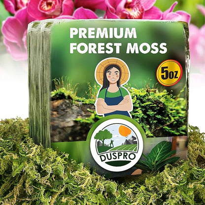 DUSPRO Dried Moss for Potted Plants, Forest Orchid Moss for Potting Mix, Sphagnum Potting Moss for Plants Indoor, Real Moss Soil Cover for Houseplant (5 OZ)