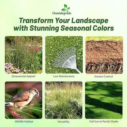 Outsidepride Perennial Andropogon Big Bluestem Grass Seed - 5 lbs. Warm Season, Drought Resistant, Native Prairie Grass Seed, Ideal for Erosion Control, Ornamental Landscaping & Wildlife Gardens