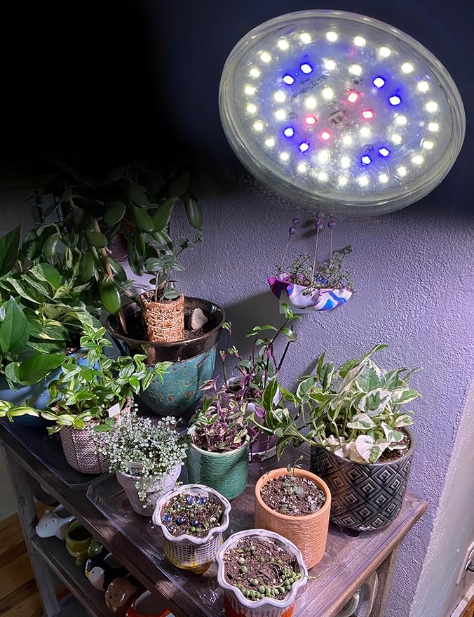 BR30 LED Grow Light Bulbs Floodlight 5000K Red Blue Full Spectrum, 20W E26 Plant Light Bulb 200w Equivalent, Balanced Spectrum for Indoor Plants, Seeding, Growing, Hydroponic, 2000lm, 2pcs