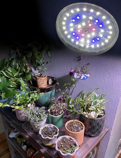 BR30 LED Grow Light Bulbs Floodlight 5000K Red Blue Full Spectrum, 20W E26 Plant Light Bulb 200w Equivalent, Balanced Spectrum for Indoor Plants, Seeding, Growing, Hydroponic, 2000lm, 2pcs