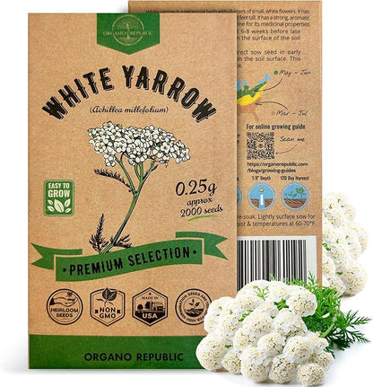 White Yarrow Seeds Pack 0.25 G - Over 2000 Non-GMO Heirloom Yarrow Seeds for Planting Herbs in Individual Seed Packet, Herbs Seeds for Planting Home Garden Indoor & Outdoor Gardening