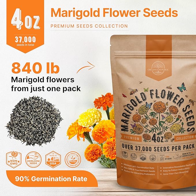 Marigold Seeds Pack 4 oz - Over 37,000 Non-GMO Heirloom Marigold Seeds for Planting Indoor & Outdoor Gardening, Flower Seed for Planting Home and Garden, Flowers Seed in Individual Packet