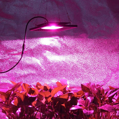 Waterproof 100W LED Grow Light Full Spectrum, New Technology COB LED Grow Light, Natural Heat Dissipation Without Noise, Suitable for Plants All Growing Stage Indoor or Outdoor.
