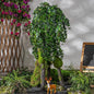 2PCS Fake Plants Decor,Artificial Morning Glory for Home Decor Indoor,Fake Ivy Plants Realistic Faux Plants Indoor for Home Living Room Bedroom Office Decoration