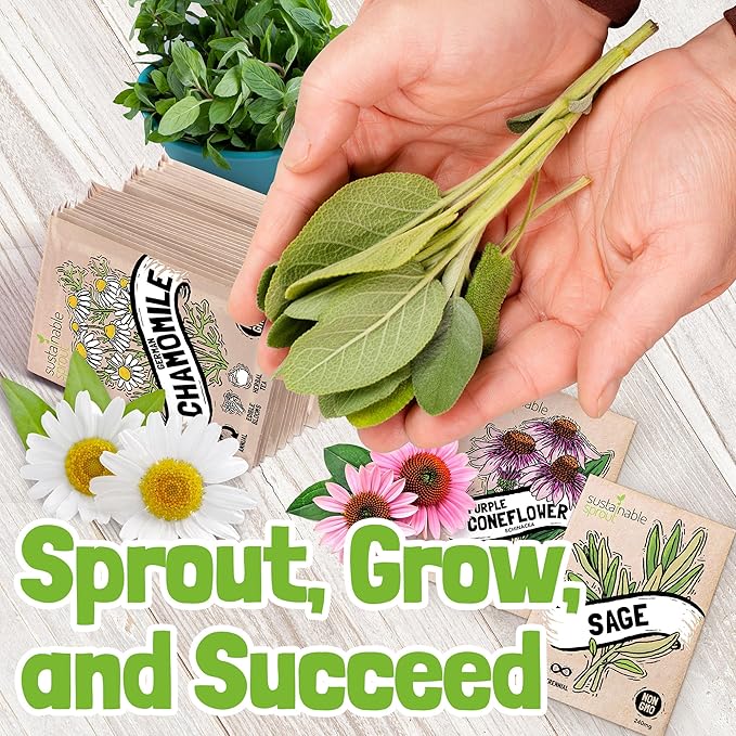 Sustainable Sprout Medicinal Tea Seeds, 8 Variety Pack Herbal Tea Heirloom Seeds, Catnip, Lavender, Peppermint, Lemon Balm, Bee Balm, Echinacea, Sage & Chamomile for Planting, Homesteading Essentials