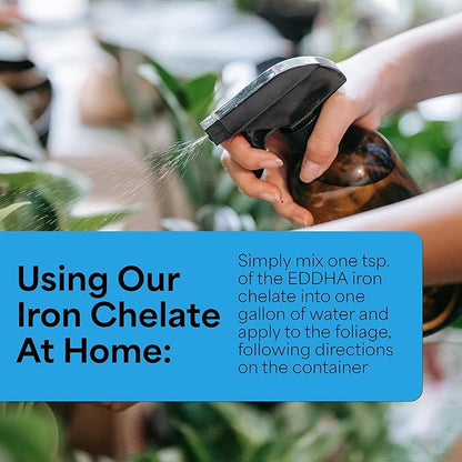 Grow More 0.2-0-0 EDDHA Iron Chelate for Greener Plants on Soils with pH of 7 or Above - 1lb of Water Soluble Chelated 6% Iron for Plants