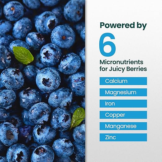 16oz Blueberry Fertilizer - Makes 16 Gallons of Fruit Tree Fertilizer for Blueberries, Liquid Plant Food for Sweet, Plump Blueberry Plants, Instant Plant Food That Promotes Growth & Abundant Harvests