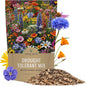 Drought Tolerant Wildflowers Mix – Bulk Quarter Pound Bag – Over 30,000 Open Pollinated Non-GMO Seeds – 21 Different Dryland Species