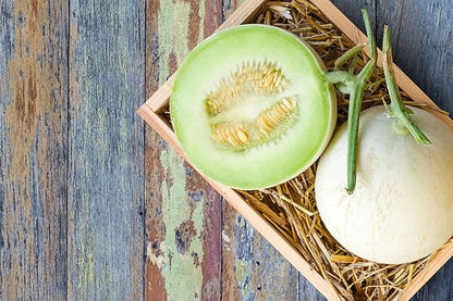 Melon Seeds Variety Pack for Planting – 4 Non-GMO Heirloom Varieties: Crimson Sweet & Sugar Baby Watermelon, Honeydew, Hale's Best Jumbo Cantaloupe – High Germination, USA-Grown Garden Fruit Seeds