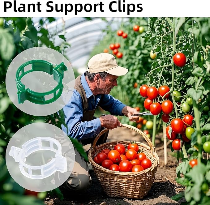 200 Pcs Plant Support Clips,Plastic Clips for Securing Plants,Tomato Vine Clips,Plant Fixing Clips,Garden Clips for Climbing Plants,Grape and Vine Vegetables (200, White)