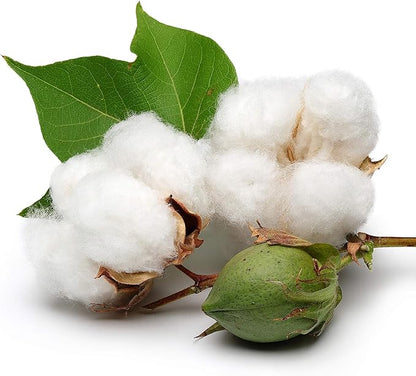 KVITER 25 White Cotton Seeds for Planting (Gossypium hirsutum) – Real Cotton Plant, Cottons Seeds for Growing, Heirloom & Non-GMO Cotton's Plant Seeds for Gardeners – Perfect for Ornamental or Fiber