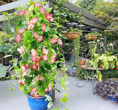 FERIAL Artificial Vines Rosered Morning Glory Vine Artificial Flowers Hanging Plants Garland Fake Green Plant for Wall Fence Indoor Wedding Banquet Decor