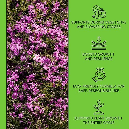 Plant Nutrients Liquid Fertilizer 500 ML A 1-4-2 & 500 ML B 3-0-0.5 Plant Food Support Plant Growth Throughout Entire Cycle Veg and Flower Indoor Outdoor Hydroponic Coco Garden (500 ml)