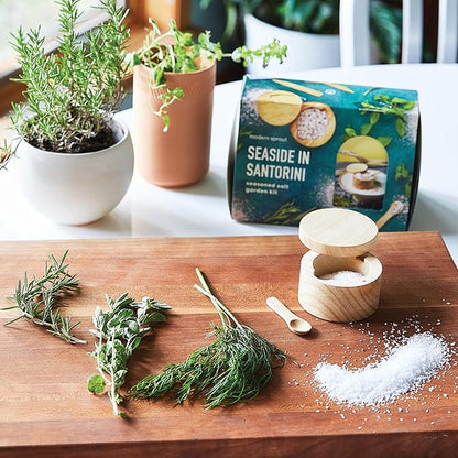 Modern Sprout Travel Trio Seaside in Santorini; Travel-Inspired Seed Kit with Salt Cellar, Organic Seed Starting; Gardening Gift (Seaside in Santorini)