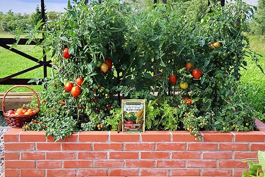 The Old Farmer's Almanac Tomato & Vegetable Plant Food Mini Spikes - NPK 6-4-6 for Continuous Feeding and Bountiful Harvests (72 Mini Spikes)