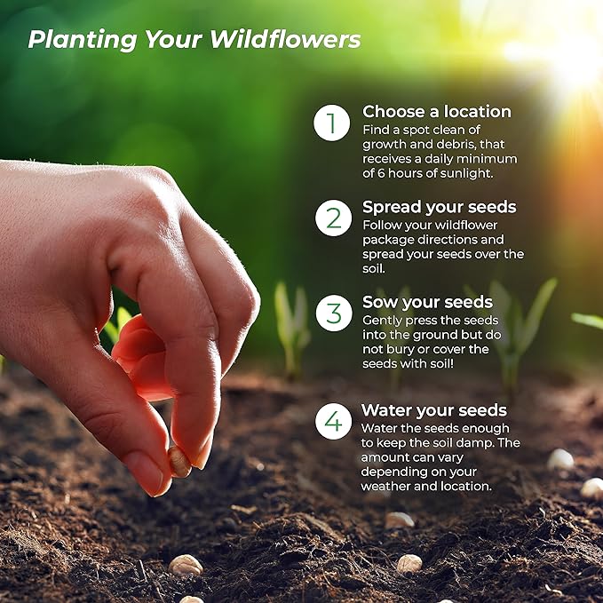 Created By Nature Nevada Wildflower Seed Mix, 14 Flower Varieties, 30,000 Seeds