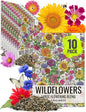 Seed Needs Garden Flower Seeds Large Blooms Mix Hummingbird and Butterfly | 10 Packs (1 Ounce Each) No Filler 7 Varieties Open Pollinated | Resealable Package Live Wild Flower Seed | Bulk
