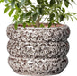 SQOWL Ceramic Pots for Plants - 10 Inch Plant Pot with Drainage Hole, Ceramic Planter for Indoor Plants, Round Flower Pots Outdoor, Modern Planter, House Home Room Decor, Gifts for Plant Lover, White