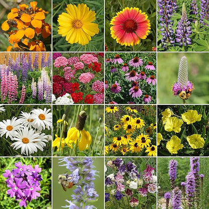 Ferry-Morse Perennial Mix Bulk Wildflower Seeds, 1lb