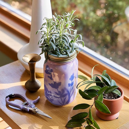 Modern Sprout Mason Garden Jar - Self-Watering Hydroponics Growing System Kit with Organic Herb Seeds - Jar Planter for Indoor Herb Garden - Seed Starter Kit - Home Decor & Gifting - Lavender