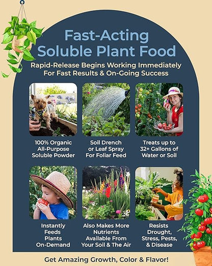 Organic Plant Magic - Truly Organic™ Fast-Acting Water Soluble Plant Food - All-Purpose Fertilizer Concentrate for Flower, Vegetable, Herb, Fruit Tree, Garden & Indoor Houseplants [One 1/2 lb Bag]