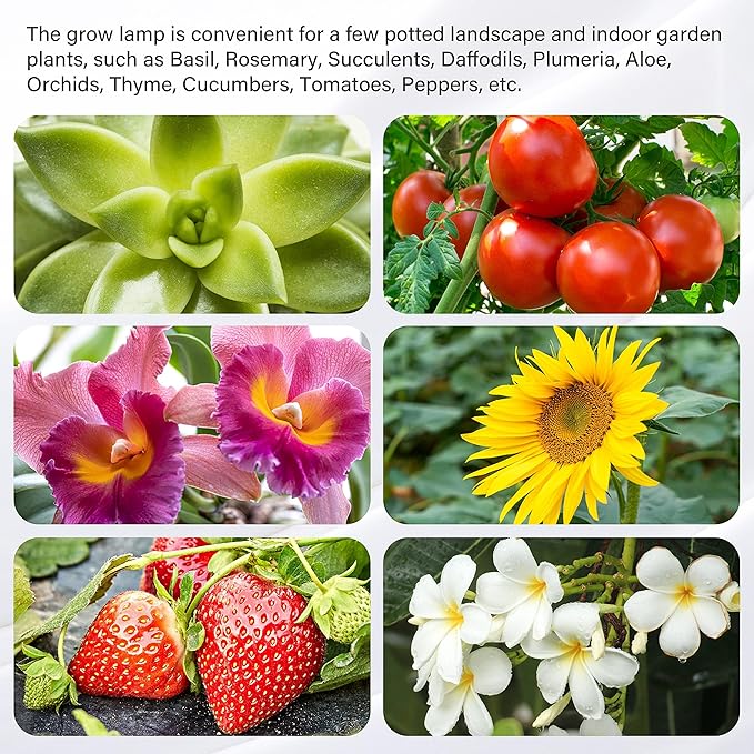 iPower 40W Full Spectrum LED Plant Grow Light Strips for Indoor Plants with Auto ON/Off 3/9/12H Timer, 10 Dimmable Levels 48 LEDs Per Tude, for Hydroponics Succulent, 3 Tubes, Red&Blue