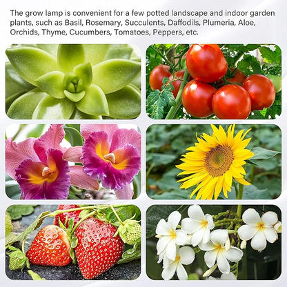 iPower 40W Full Spectrum LED Plant Grow Light Strips for Indoor Plants with Auto ON/Off 3/9/12H Timer, 10 Dimmable Levels 48 LEDs Per Tude, for Hydroponics Succulent, 3 Tubes, Red&Blue
